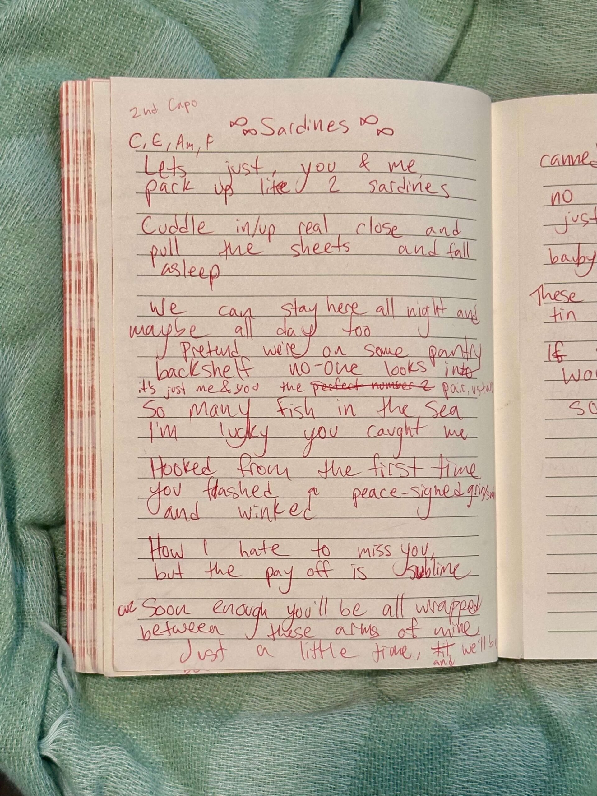 A photo of a page in Attalie's journal where she wrote Sardines Song. You can see the original lyric, "the perfect number two" scratched out.